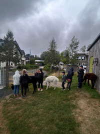 Bild1